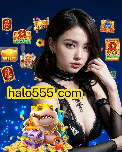 halo555 com