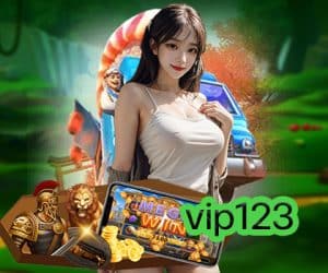 vip123